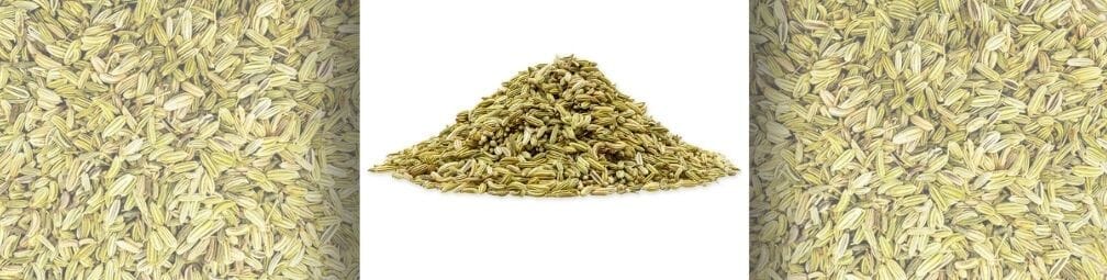 The Medicinal Benefits of Fennel Seed