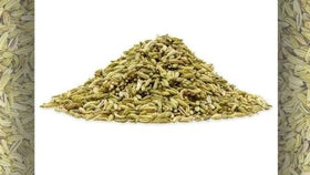 The Medicinal Benefits of Fennel Seed