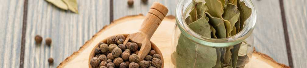 The Spice of Life: Exploring the Many Reasons Why People Use Herbs and ...