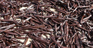 The Ultimate Guide to Vanilla Beans From Papua New Guinea