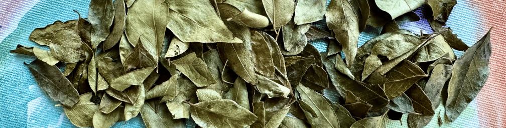 Uses For Curry Leaves