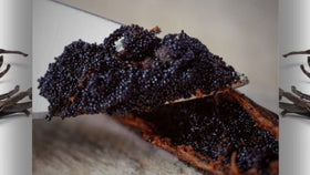 Vanilla Bean Seed Substitutes