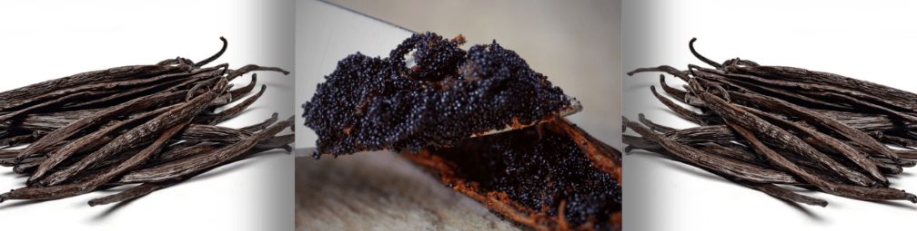 Vanilla Bean Seed Substitutes