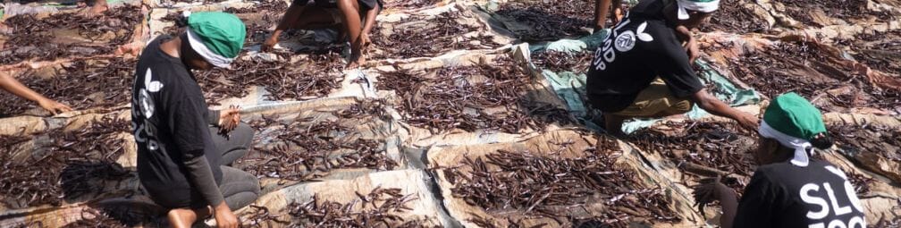 Vanilla Beans vs. Vanilla Pods: What's the Difference?