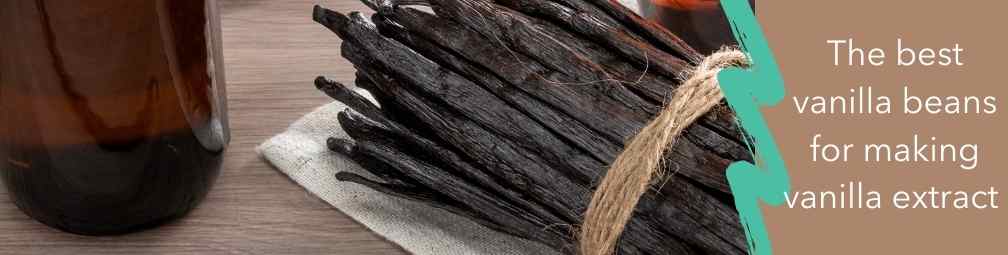 What are the best vanilla beans for vanilla extract