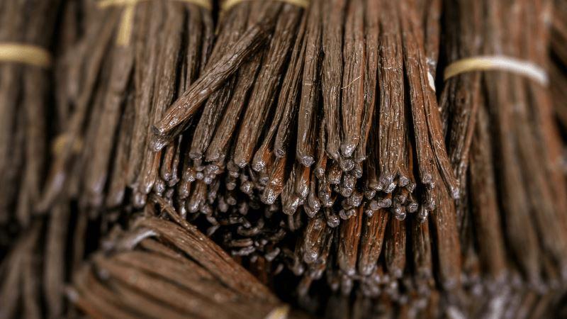 What is a Vanilla Bean Co-op