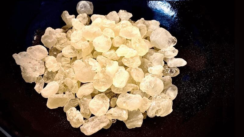 What is Mastic Gum