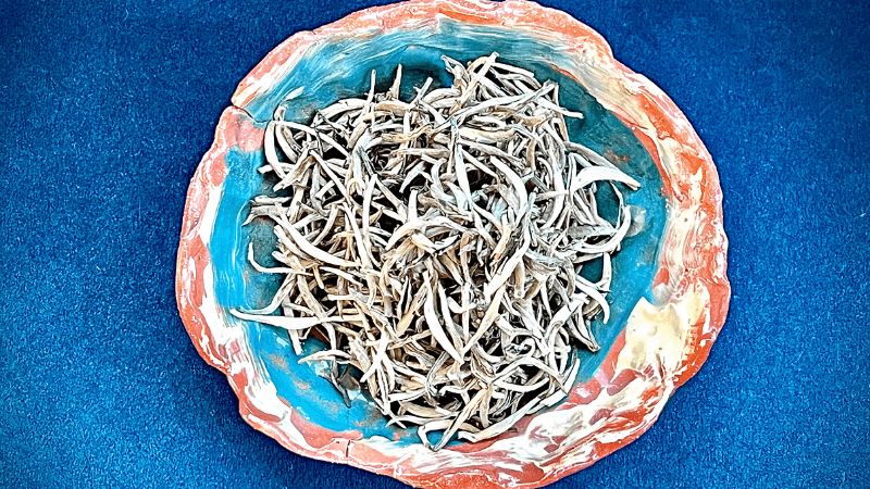 Silver Needles Tea What Is Silver Tipped White Tea - Slofoodgroup