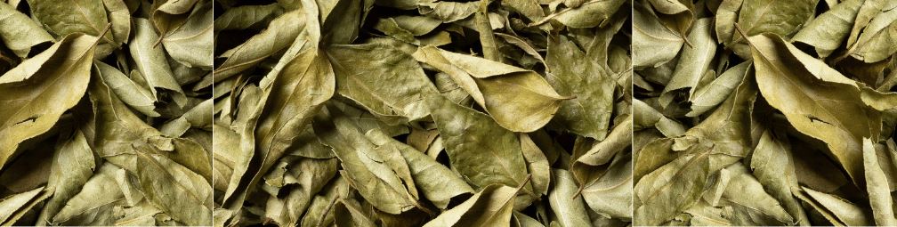 What is the Flavor of Curry Leaves?