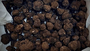 What To Do With Black SummerTruffles
