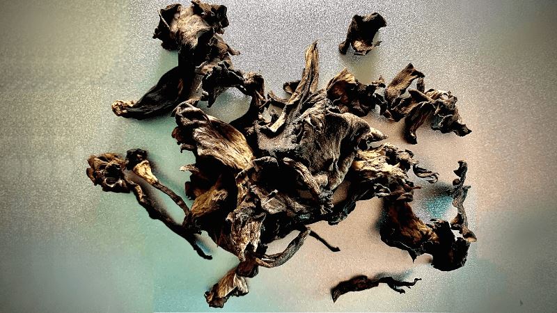 What To Do With Dehydrated Black Trumpet Mushrooms