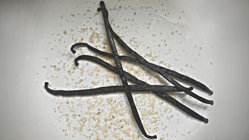 What to do with vanilla beans that have dried out