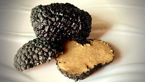 Where are truffles found?