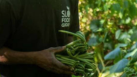 Where to Buy Vanilla Beans Online in 2026: A Complete Buyer’s Guide