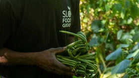 Where to Buy Vanilla Beans Online in 2026: A Complete Buyer’s Guide