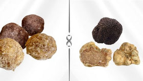 Why Are Truffles Both a Chocolate and a Mushroom?