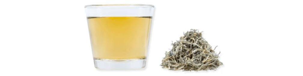 Why is White Tea Good For You
