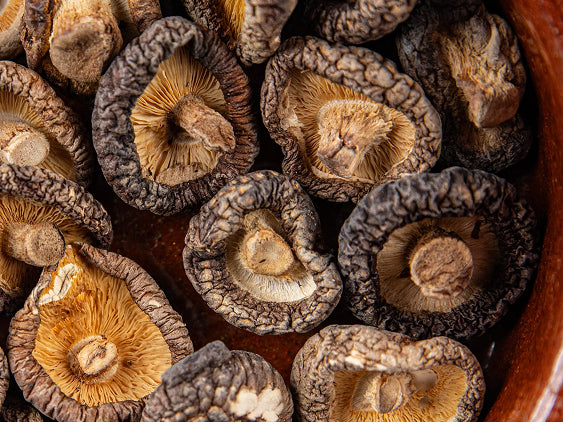 Dried Mushrooms