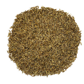 Whole Cumin Seeds Slofoodgroup 