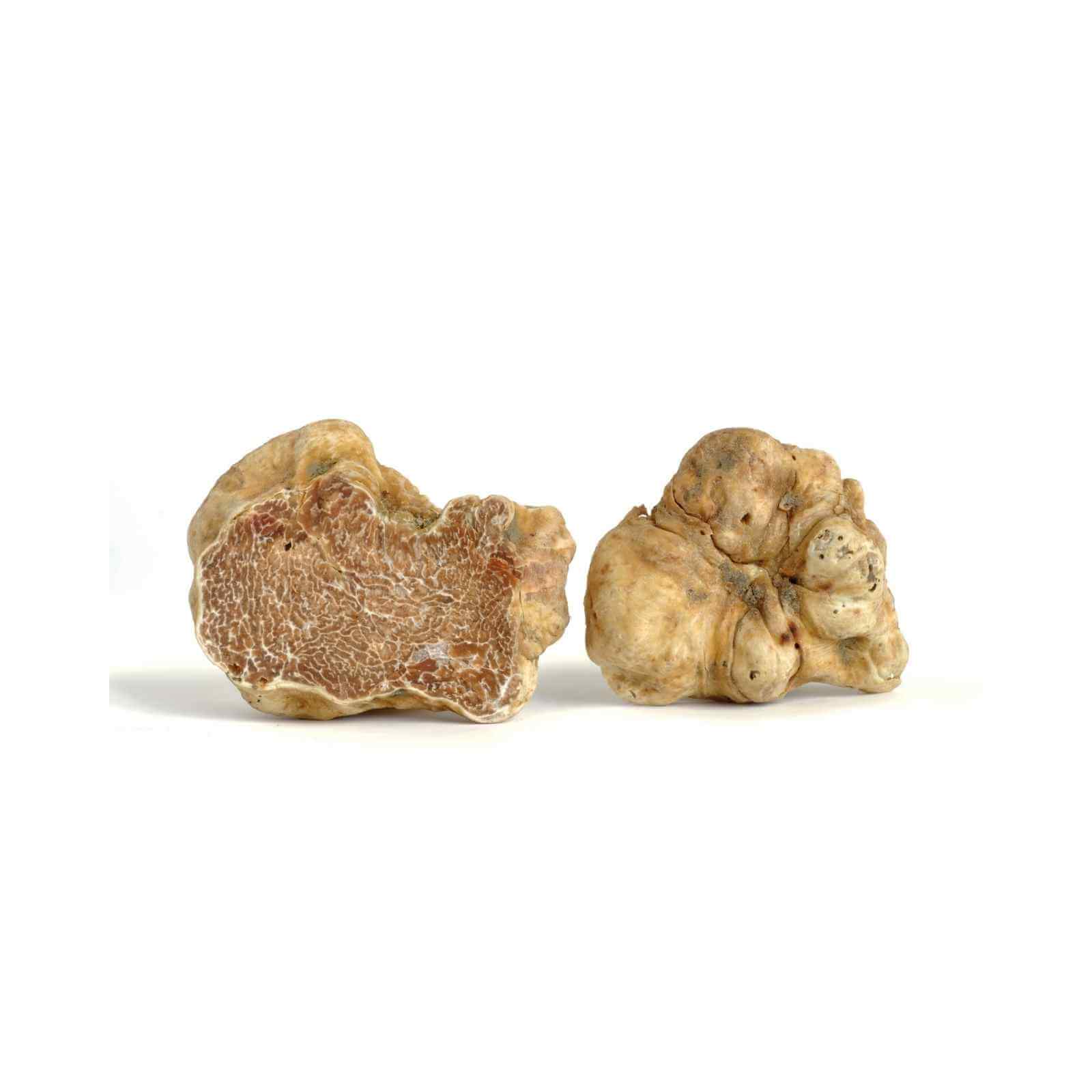 Alba White Truffles Tuber Magnatum Pico white truffles Slofoodgroup .5 oz 