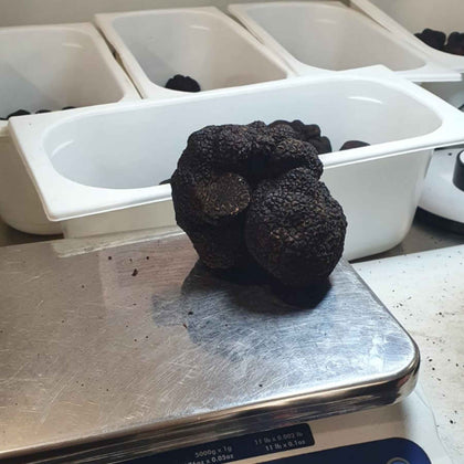 Australian Black Truffles, Tuber Melanosporum black truffle Slofoodgroup 