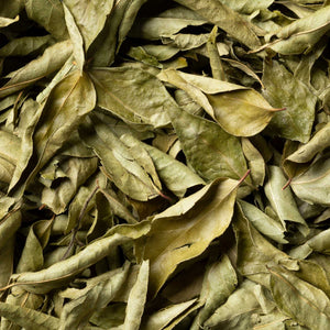 Curry Leaf, Dried Curry Leaves from Sri Lanka Seasonings & Spices Slofoodgroup 1 oz 