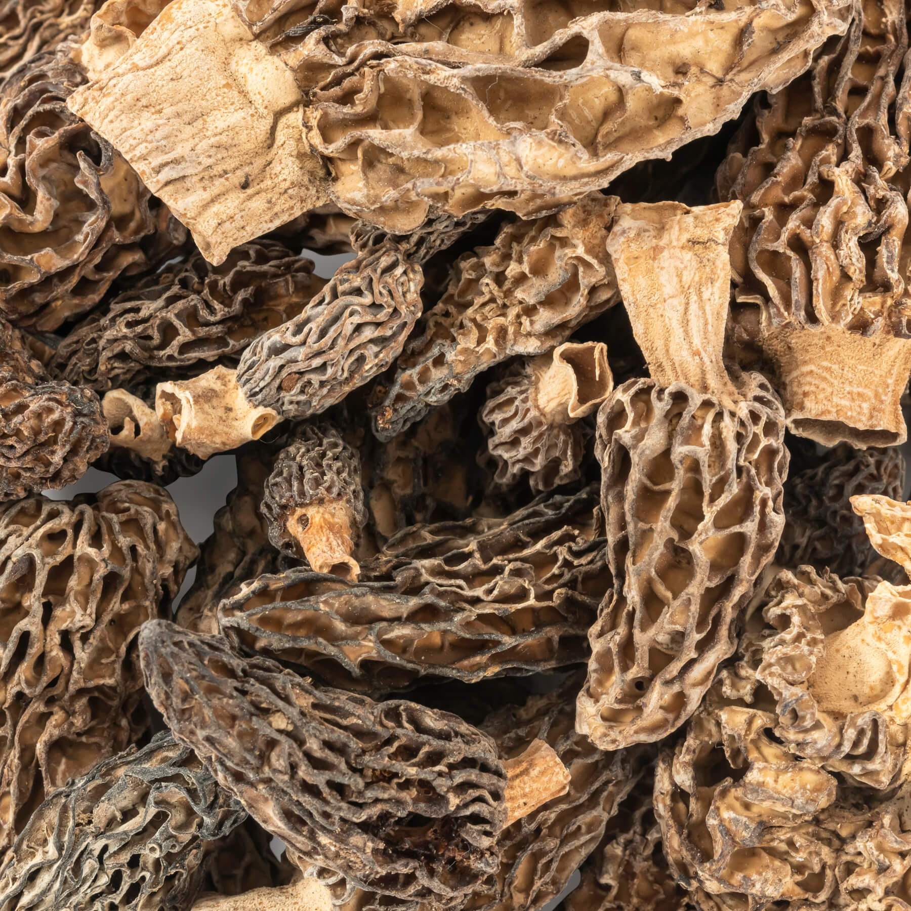 Dried Morel Mushrooms, Wild Morchellas dried mushrooms Slofoodgroup 