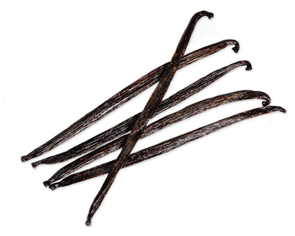 Gourmet Ecuadorian Vanilla Beans, Tahitensis vanilla bean Slofoodgroup LLC 5 beans 