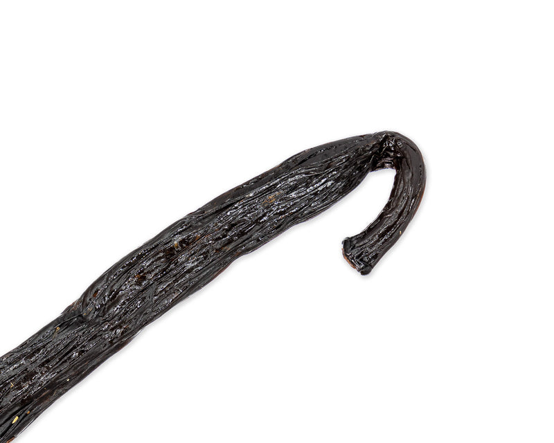 Pompona Gourmet Vanilla Beans Large Vanilla Beans from Costa Rica