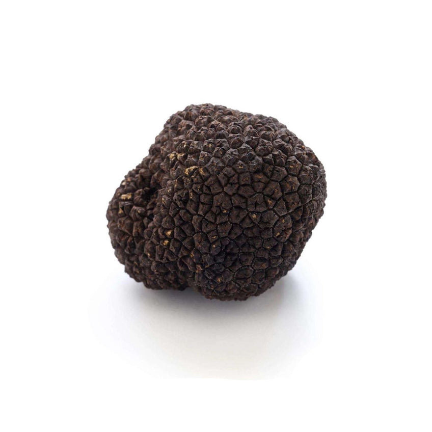 Summer Black Truffles, Tuber Aestium truffle Slofoodgroup 4 oz 